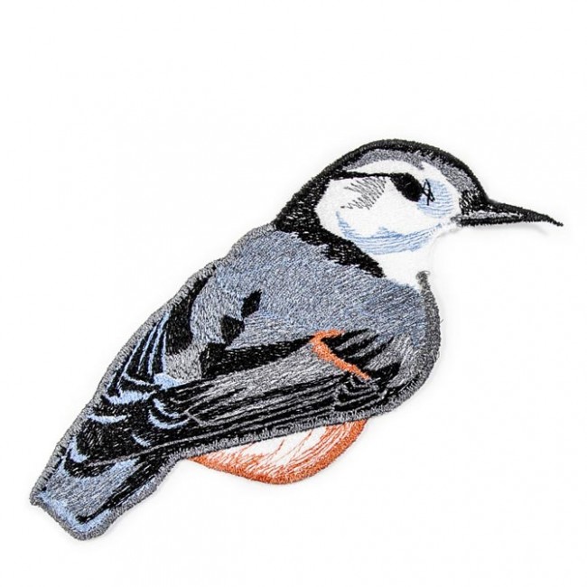 BFC1523 FSL Winter Birds