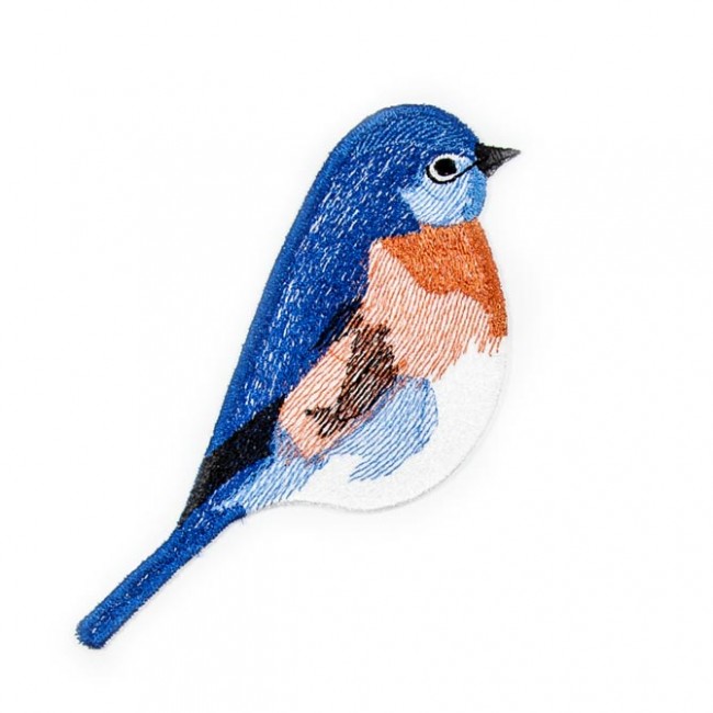 BFC1523 FSL Winter Birds