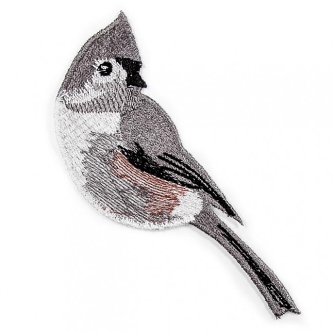BFC1523 FSL Winter Birds