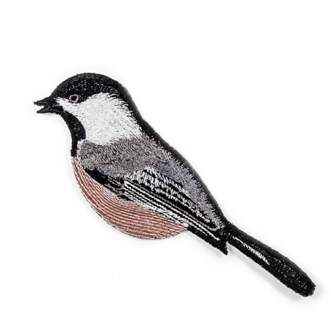 BFC1523 FSL Winter Birds