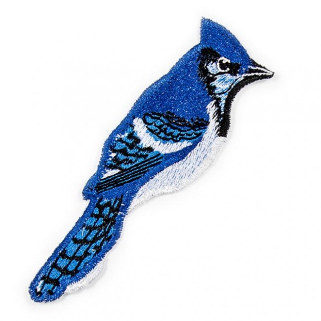 BFC1523 FSL Winter Birds