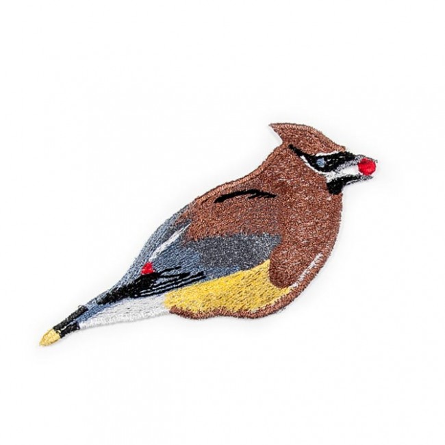BFC1523 FSL Winter Birds
