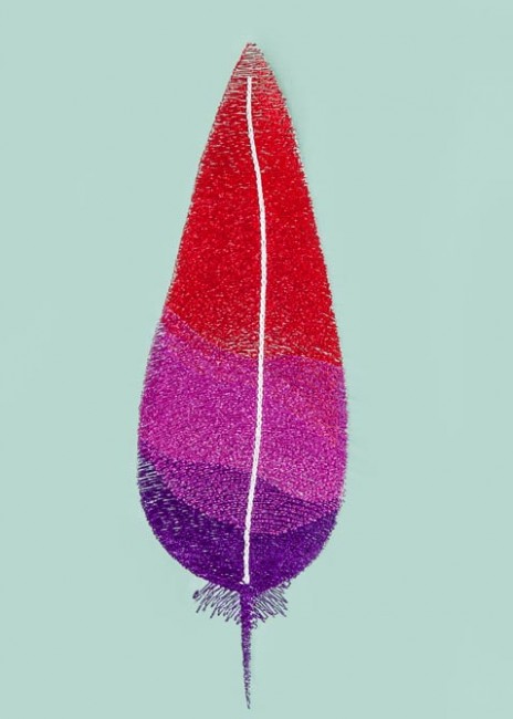 BFC1524 Fantastic Feathers