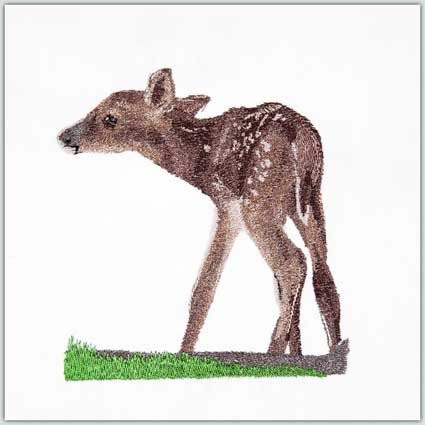 BFC1539 Large Doe with a Fawn