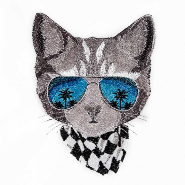 BFC1548 Cool Cats