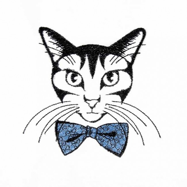 BFC1548 Cool Cats
