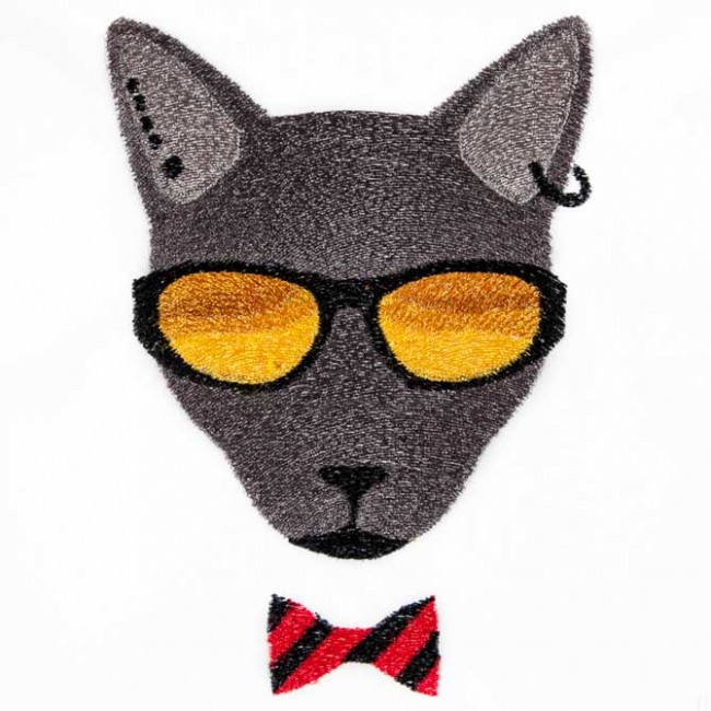 BFC1548 Cool Cats