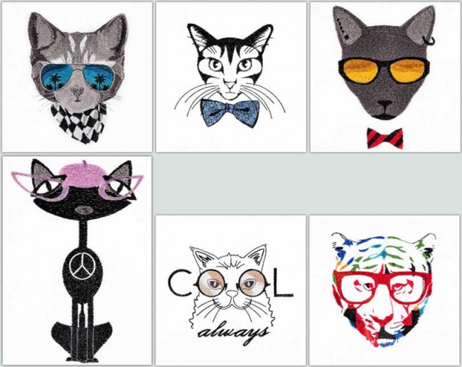 BFC1548 Cool Cats