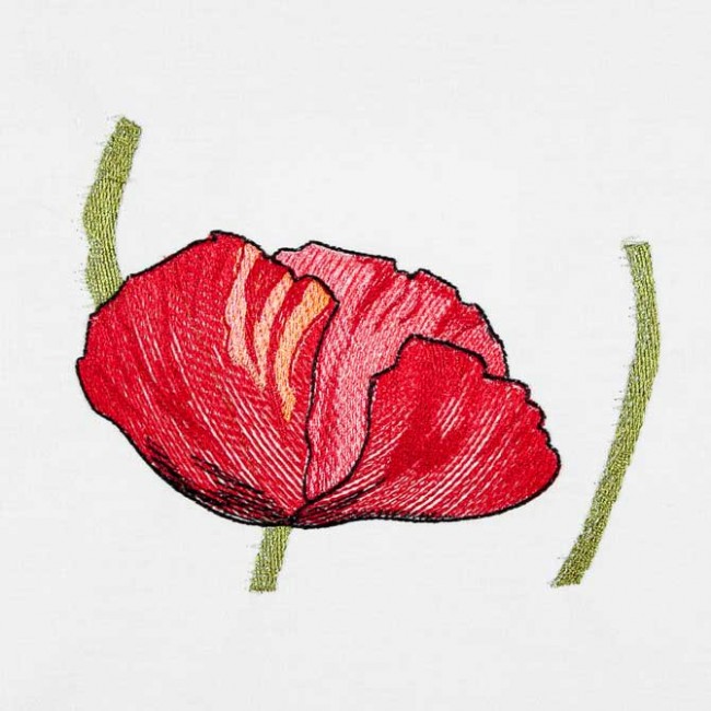 BFC1549 Poppies Times Two