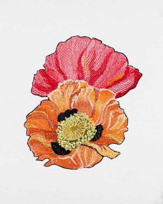 BFC1549 Poppies Times Two