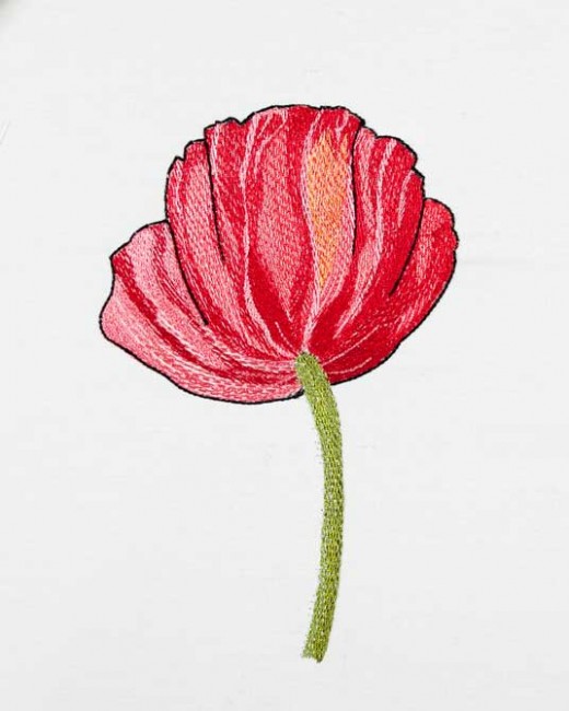 BFC1549 Poppies Times Two