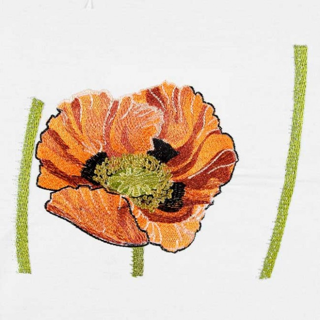 BFC1549 Poppies Times Two