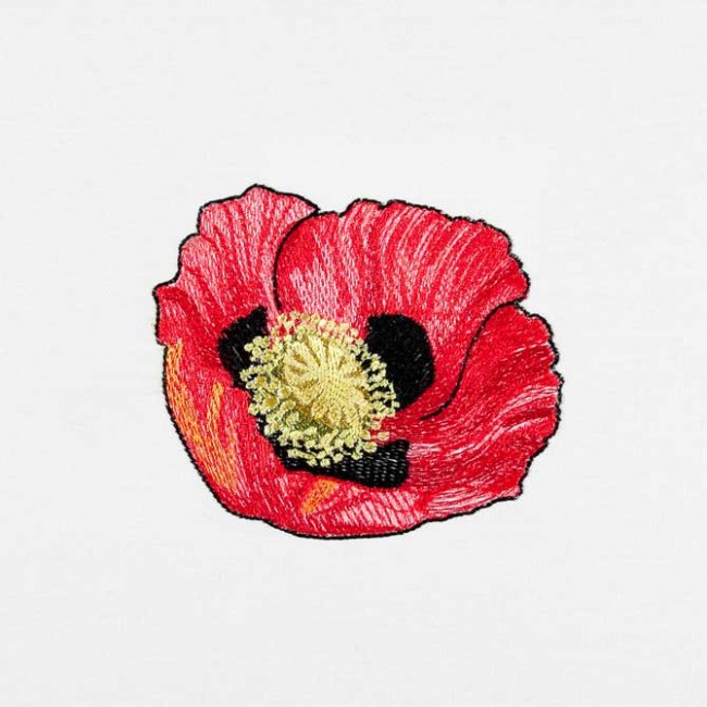 BFC1549 Poppies Times Two