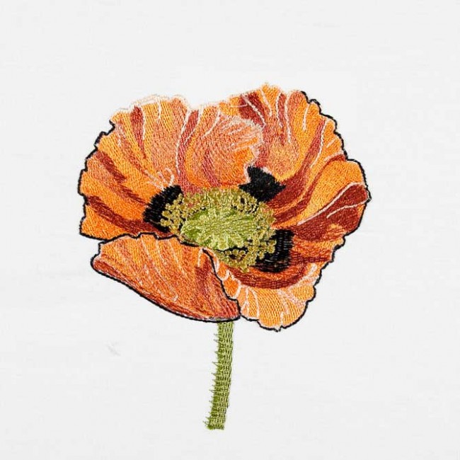 BFC1549 Poppies Times Two