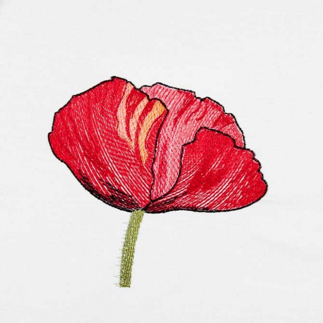 BFC1549 Poppies Times Two