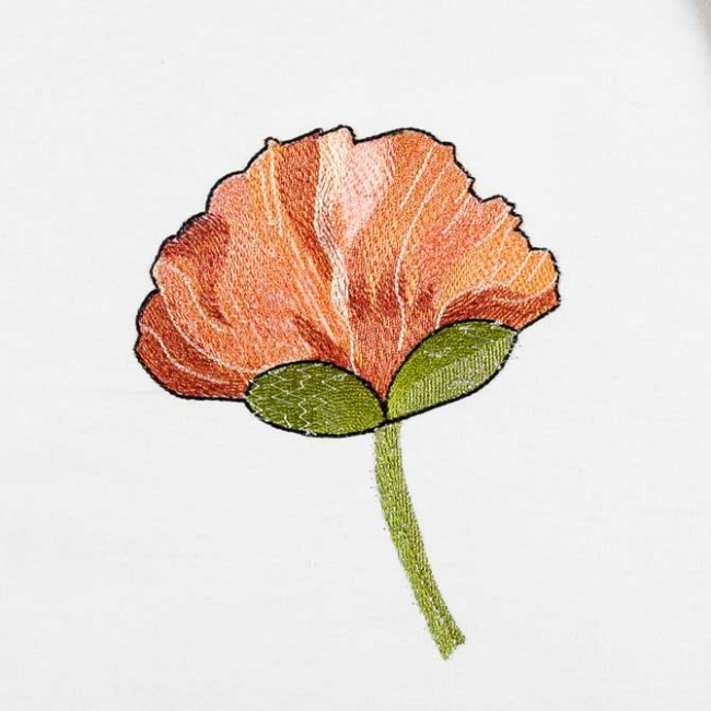 BFC1549 Poppies Times Two