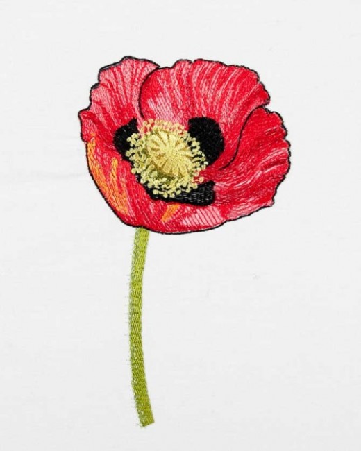 BFC1549 Poppies Times Two
