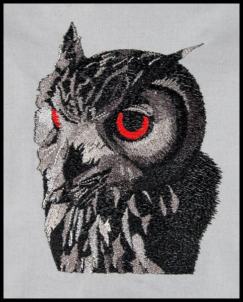 BFC1564 Four Black and White Owl Portraits