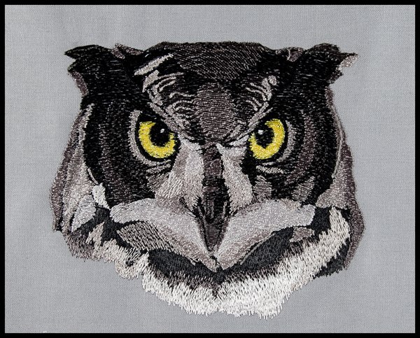 BFC1564 Four Black and White Owl Portraits