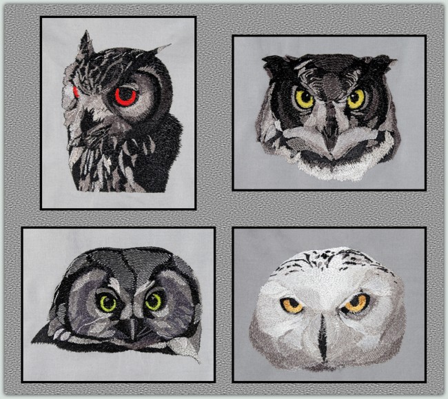 BFC1564 Four Black and White Owl Portraits