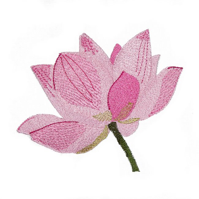 BFC1578 Lotus