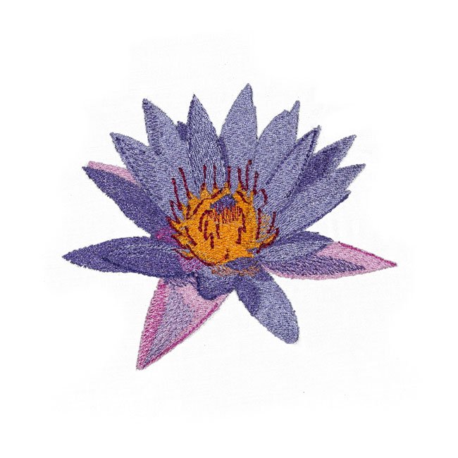 BFC1578 Lotus