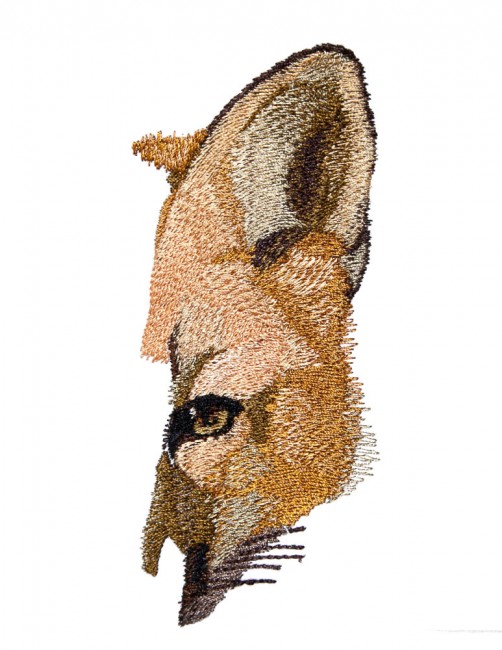 BFC1595 Large Red Fox