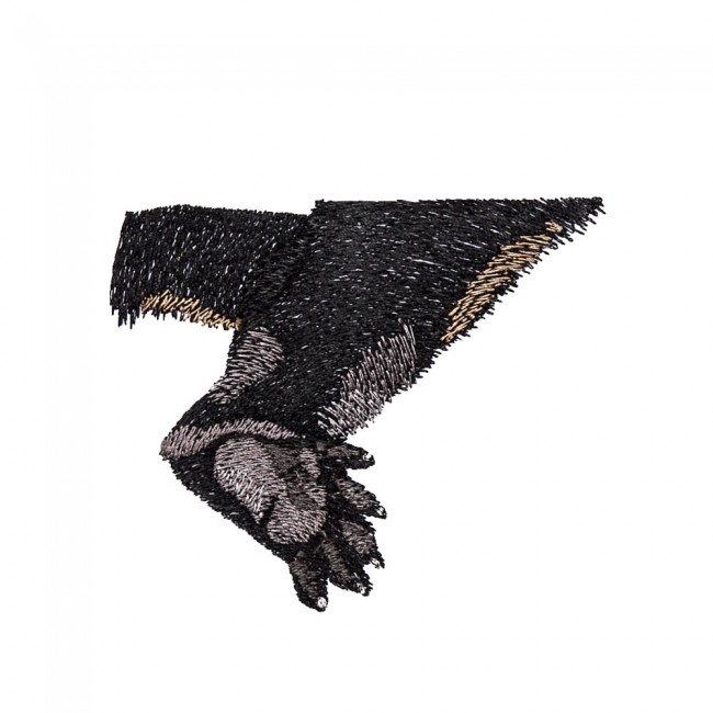 BFC1600 Large Baby Raccoon