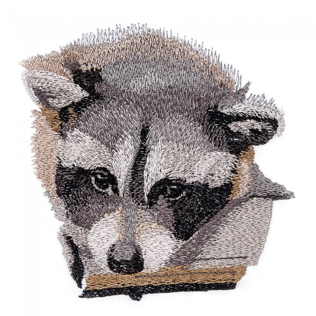 BFC1600 Large Baby Raccoon