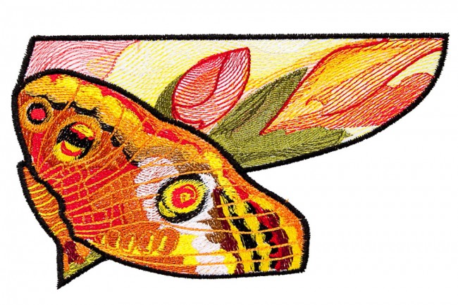BFC1601 Stained Glass Eye Spot Butterflies
