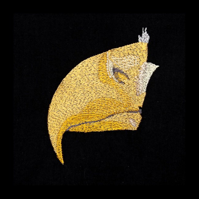 BFC1602 Large Eagle Portrait
