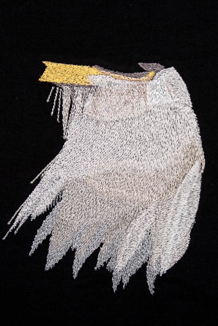 BFC1602 Large Eagle Portrait