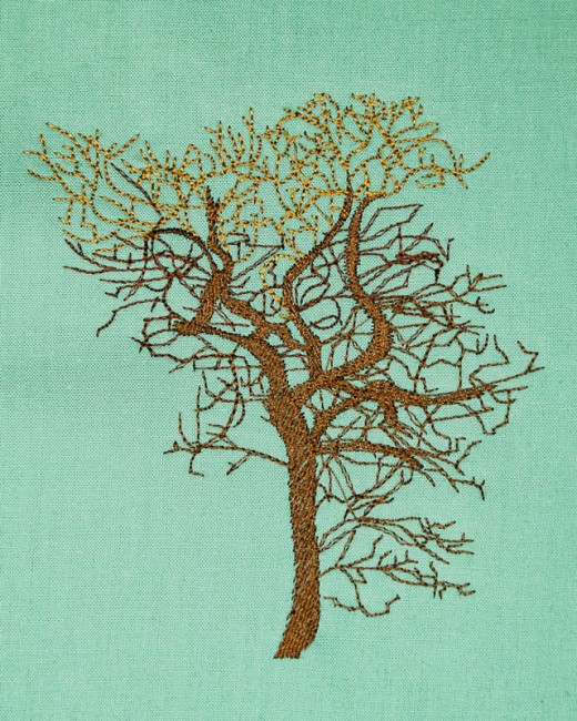 BFC1614 Flora - Bare Trees in Winter