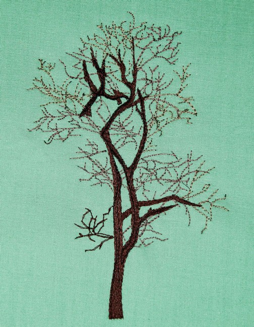 BFC1614 Flora - Bare Trees in Winter