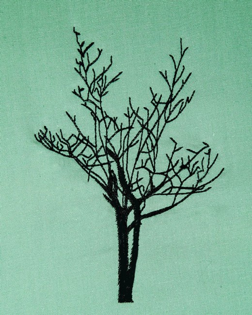 BFC1614 Flora - Bare Trees in Winter