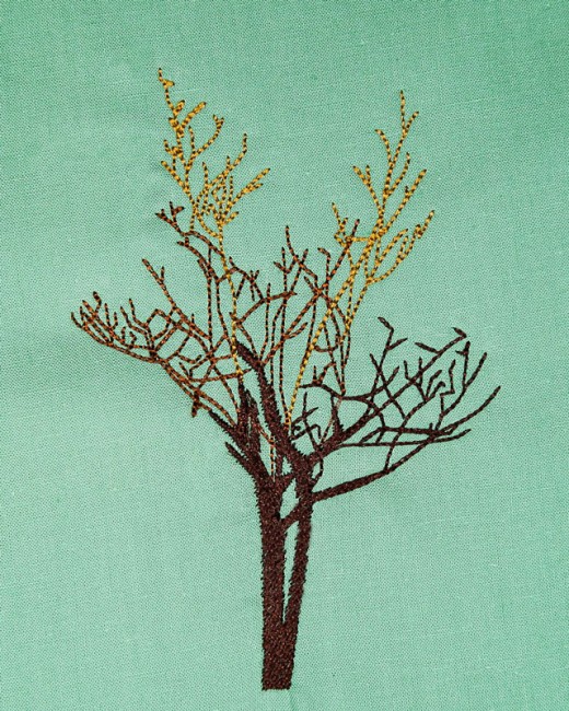 BFC1614 Flora - Bare Trees in Winter