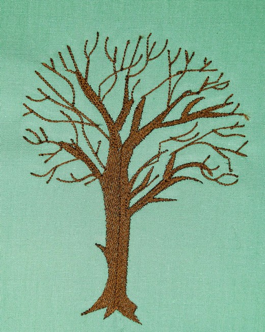 BFC1614 Flora - Bare Trees in Winter