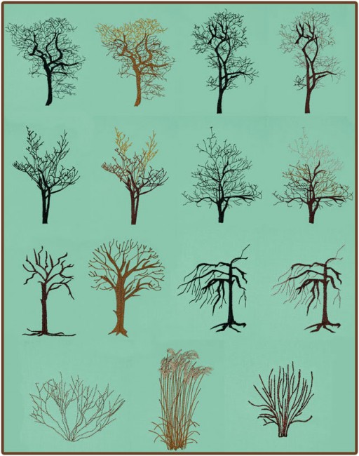 BFC1614 Flora - Bare Trees in Winter