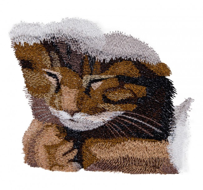 BFC1617 Large Christmas Kitten