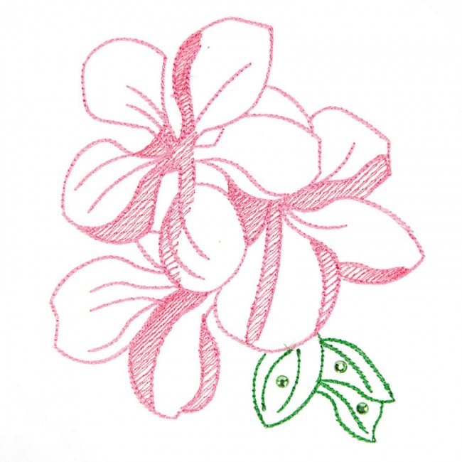 BFC1619 Embellished Floral Outlines