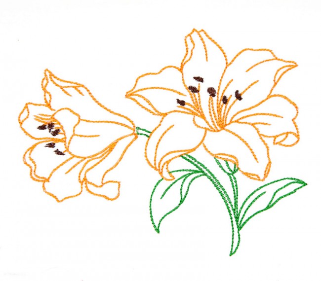 BFC1619 Embellished Floral Outlines