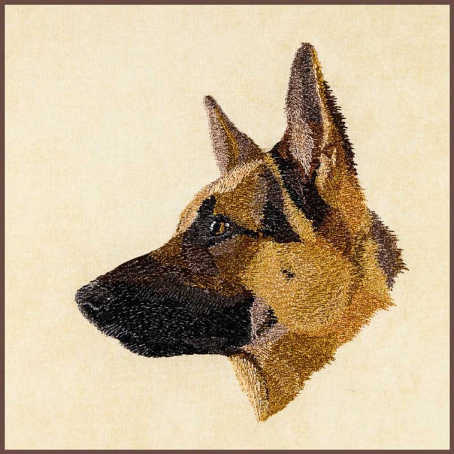 BFC1621 Three Dog Portraits