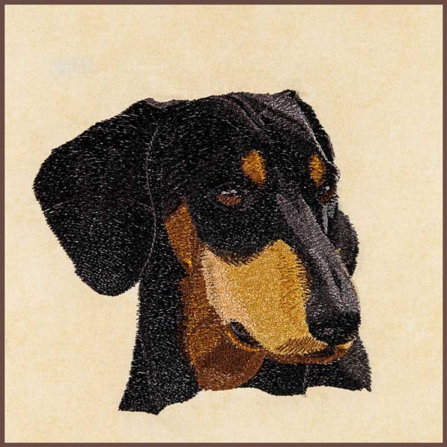 BFC30391 Daschund
