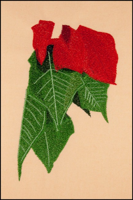 BFC1623 Large Poinsettia