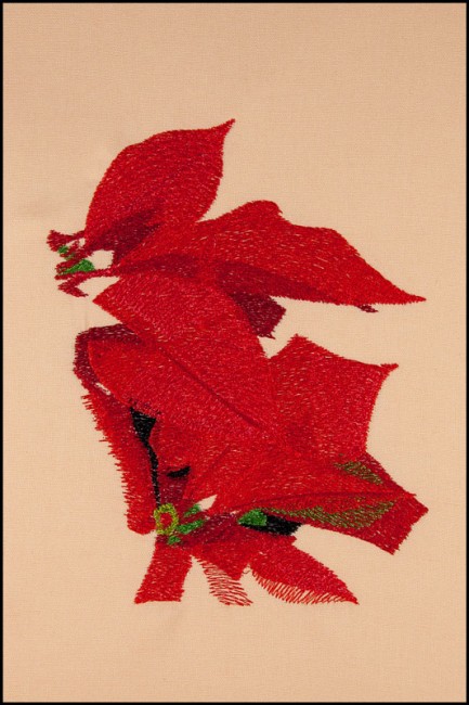 BFC1623 Large Poinsettia