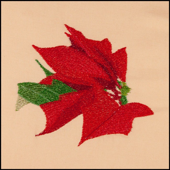 BFC1623 Large Poinsettia