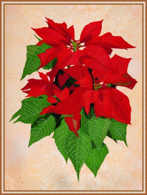BFC1623 Large Poinsettia