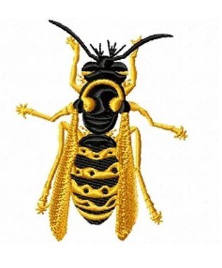 RMG163 WASP