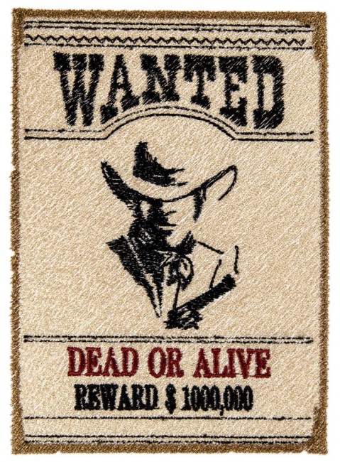BFC1634 The Wild West