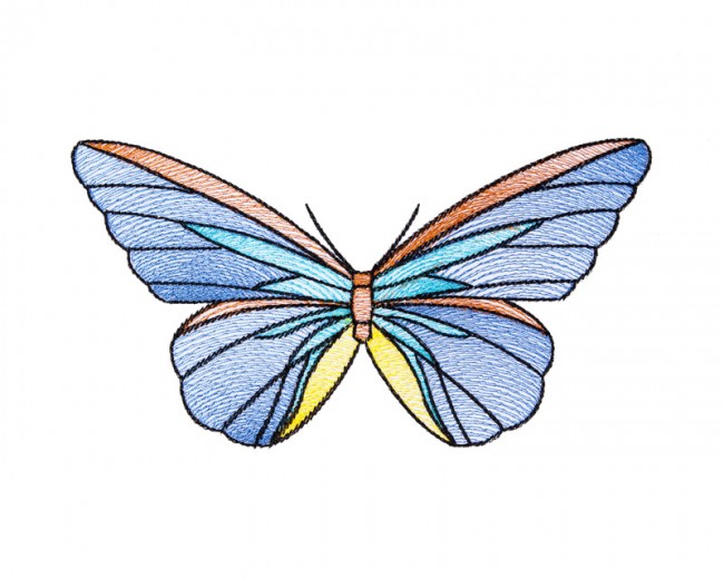BFC1642 Stained Glass Butterflies